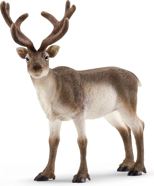 Productafbeelding Schleich Rendier
