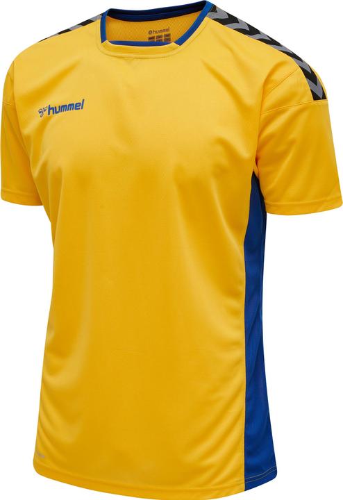 Image du produit hummel Authentic Poly Jersey S/S (M)