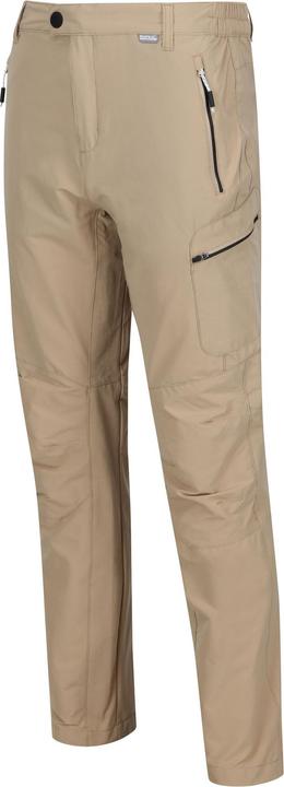 Actual product image Regatta Mens Highton Hiking Trousers (W38)