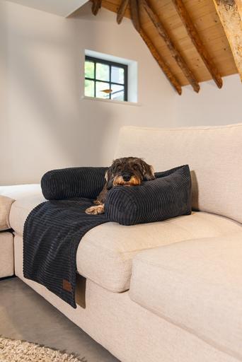 Produktbild Designed by Lotte Ribbed (Hund)