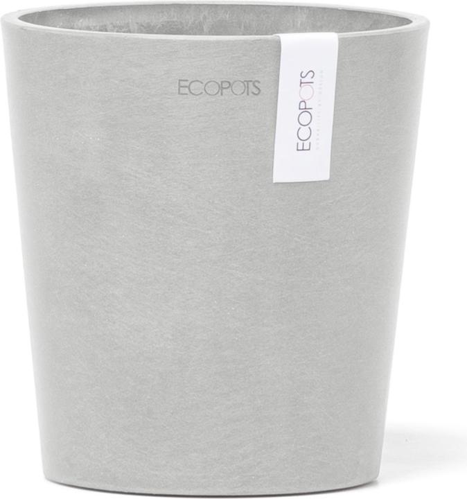 Actual product image Ecopots Morinda (14 cm)