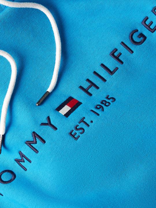 Actual product image Tommy Hilfiger Tommy Logo Hoody (M)
