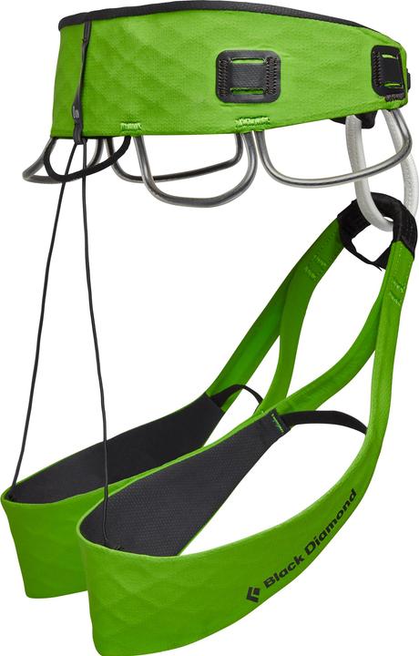 Actual product image Black Diamond Recco Vision Airnet Harness (M)