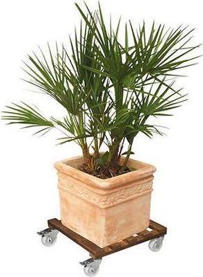 Image du produit Wagner System Multi Roller Géant 45x45cm