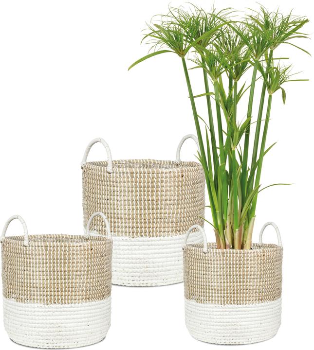Actual product image Scheurich Seagrass 27, basket planter with handles made of Seagrass Colour: Nature Wh (27 cm)