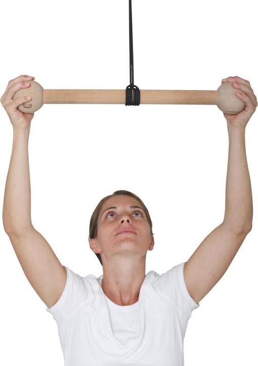 Actual product image Pedalo Pull-up bar ball handle for climbing training and lat pull-up