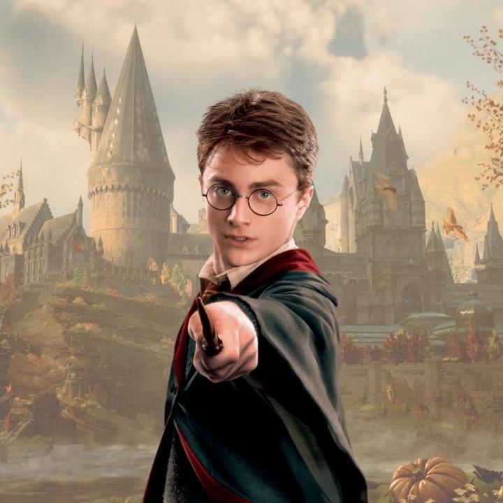 Image du produit Noble Collection La baguette murale d'Harry Potter
