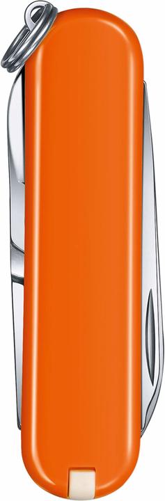 Produktbild Victorinox Cellidor