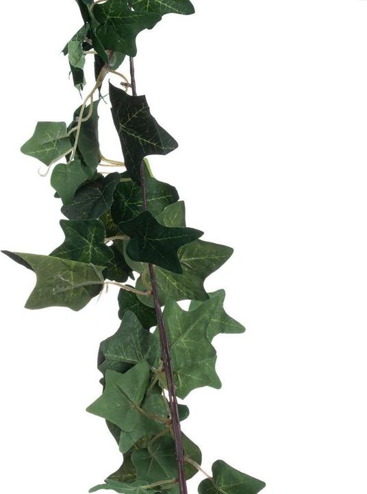 Image du produit Hill Interiors Guirlande Lierre artificiel (200 cm)
