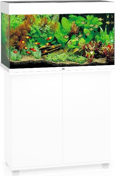 Image du produit Juwel Aquarium Rio (125 l)