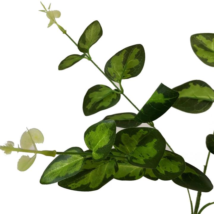 Actual product image Hill Interiors Variegated Artificial Plant (62 cm)