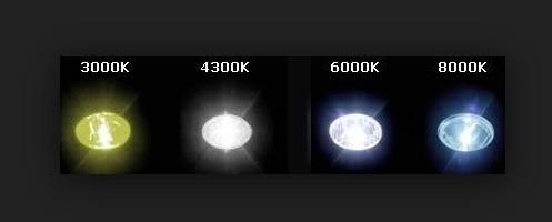 Actual product image Autostyle Xenon bulb replacement (D2R)