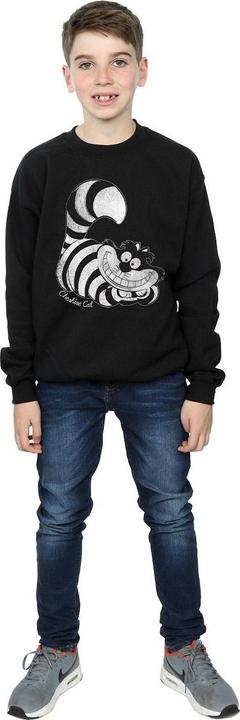 Actual product image Disney Boys Sweatshirt (116)