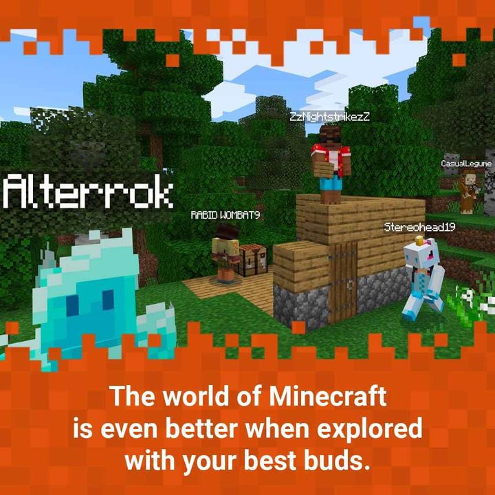 Actual product image Nintendo Minecraft (Switch, EN)