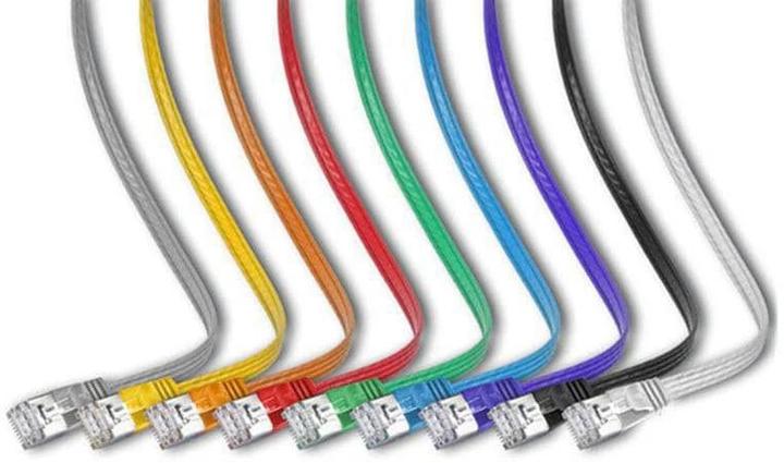 Image du produit Wirewin Câble de réseau (STP, CAT6, 0.75 m)