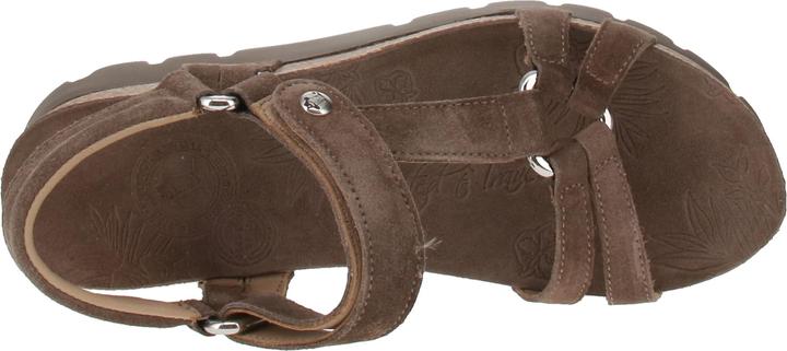 Image du produit Panama Jack Sally B7 (39)