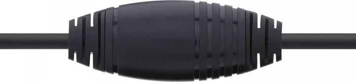 Image du produit InLine Câble d'affichage USB (USB-C, HDMI, 300 cm)