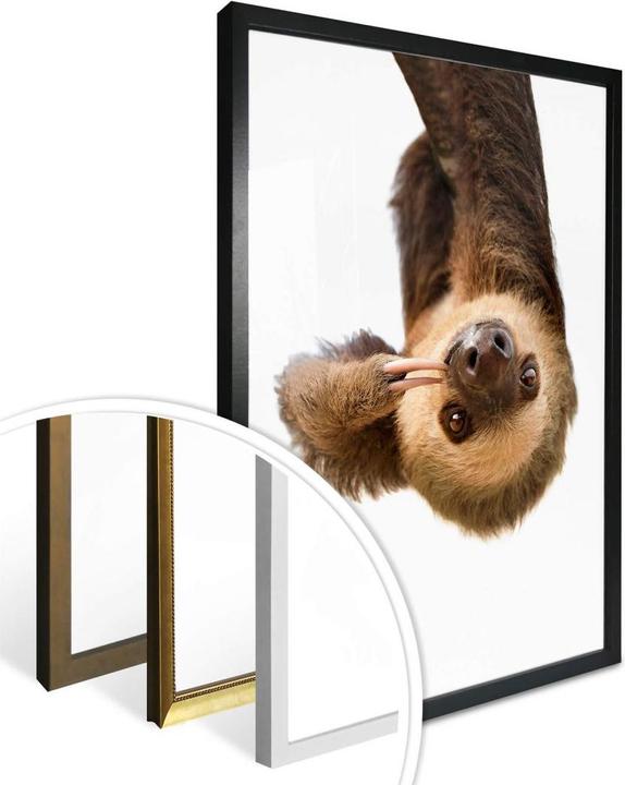 Image du produit Trenddeko Le paresseux (60 x 80 cm)