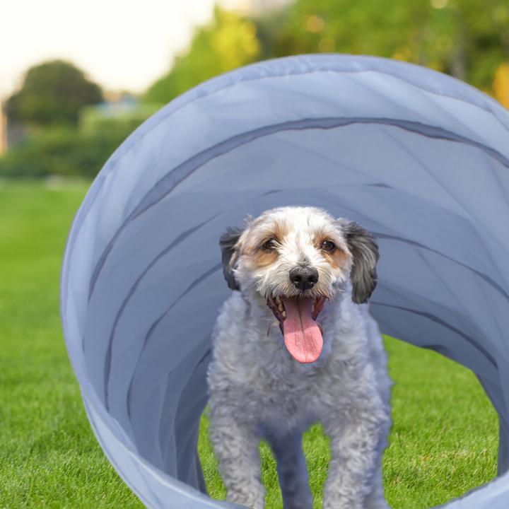 Produktbild Relaxdays Hundetunnel (Agility)