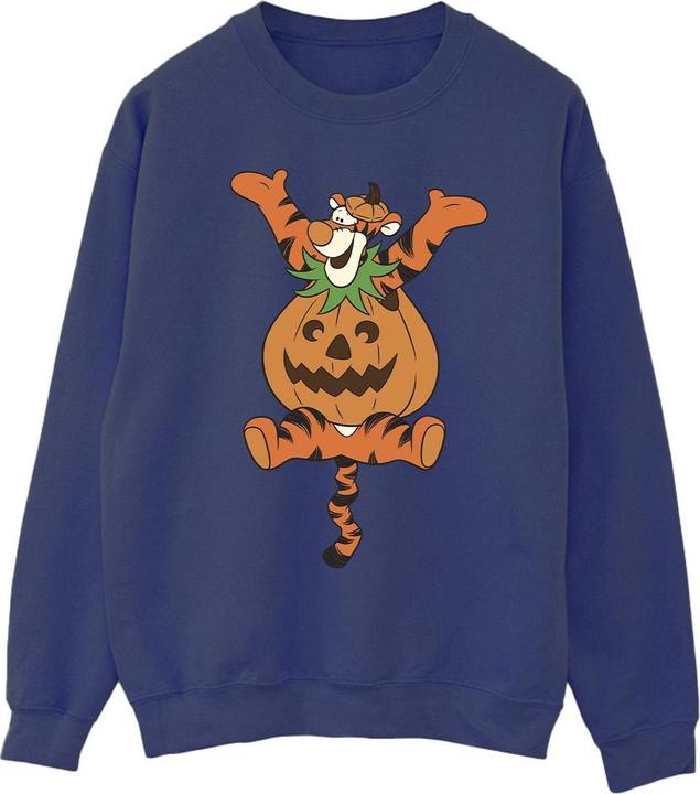 Produktbild Winnie the Pooh Sweatshirt (XXL)
