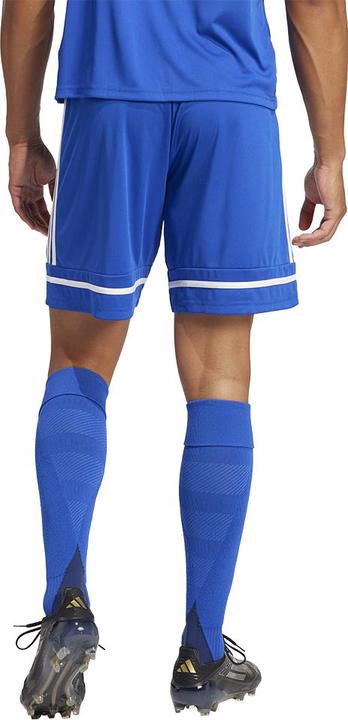 Actual product image adidas Squadra 25 Short (XL)
