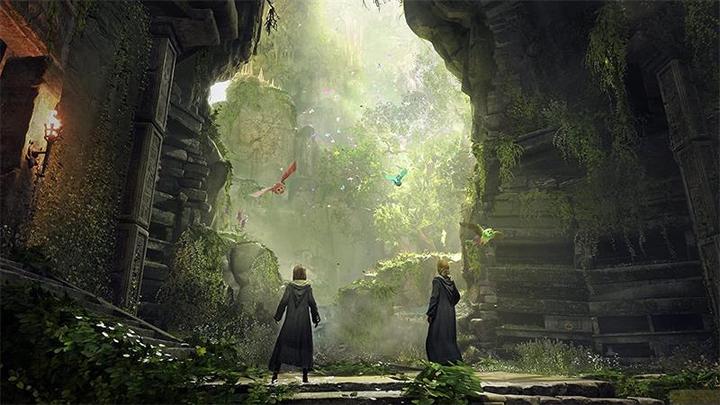 Immagine prodotto WB Hogwarts Legacy (Switch 2, DE)