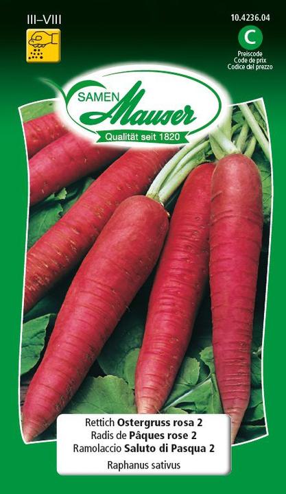 Image du produit Samen Mauser Radis de Pâques 2 (Graines de légumes)