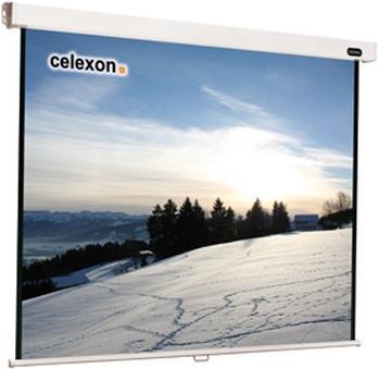 Produktbild Celexon Rollo Professional, Leinwand, 1:1 (150.39", 1:1)