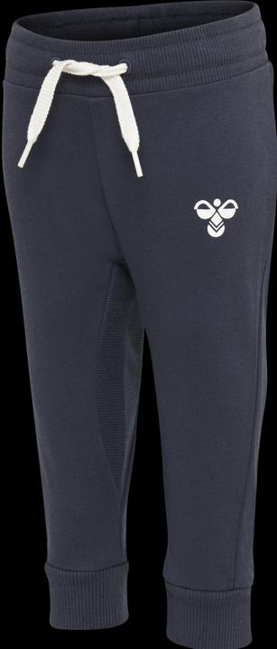 Image du produit hummel Hmlapple Pants (68)