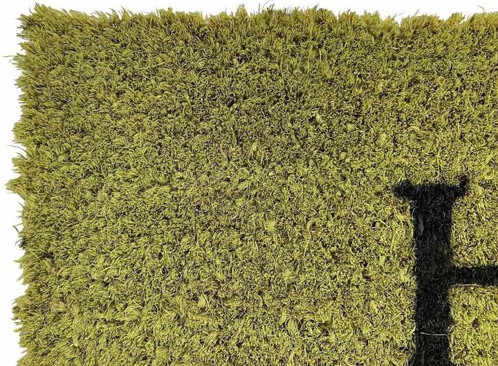 Produktbild Siena Home Fussmatte (26 x 75 cm)