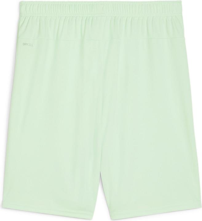 Actual product image Puma teamGOAL shorts (XL)