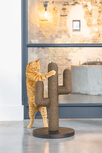 Actual product image Designed by Lotte Cactus (60 cm, Brown, Black, Dark brown)