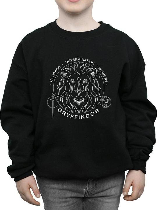 Produktbild Gryffindor Seal Sweatshirt Jungen (140, 146)