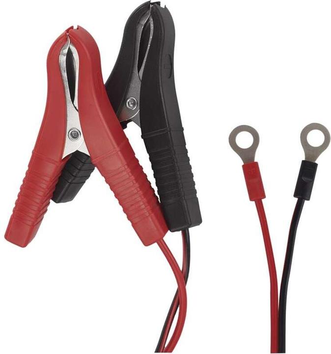 Immagine prodotto Emos Caricabatterie per auto /12V 0,8A (12V, 6V, 0.80 A)