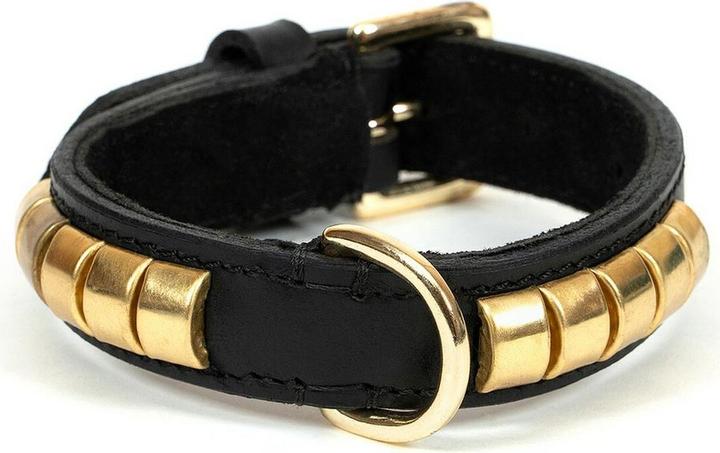 Image du produit Gloria Collier de chien Duna Noir Or 35 cm (35 x 2 cm) (35, Chien, Général)