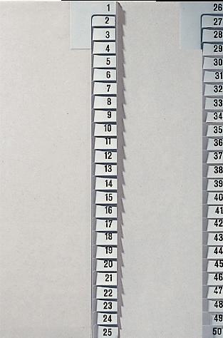 Produktbild Leitz Register Papier