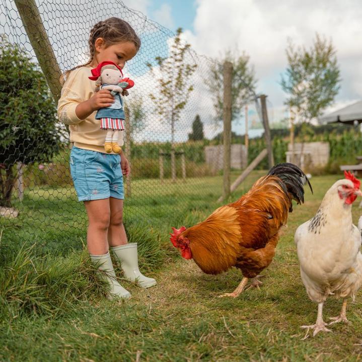Image du produit Little Dutch Poupée en peluche hollandaise