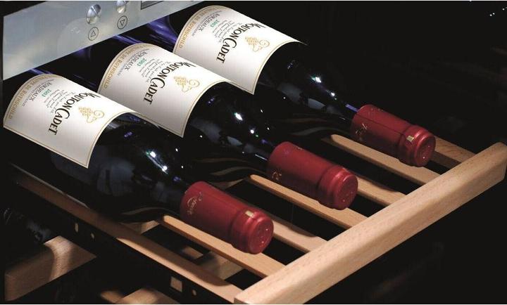 Actual product image Caso WineSafe 12 Classic