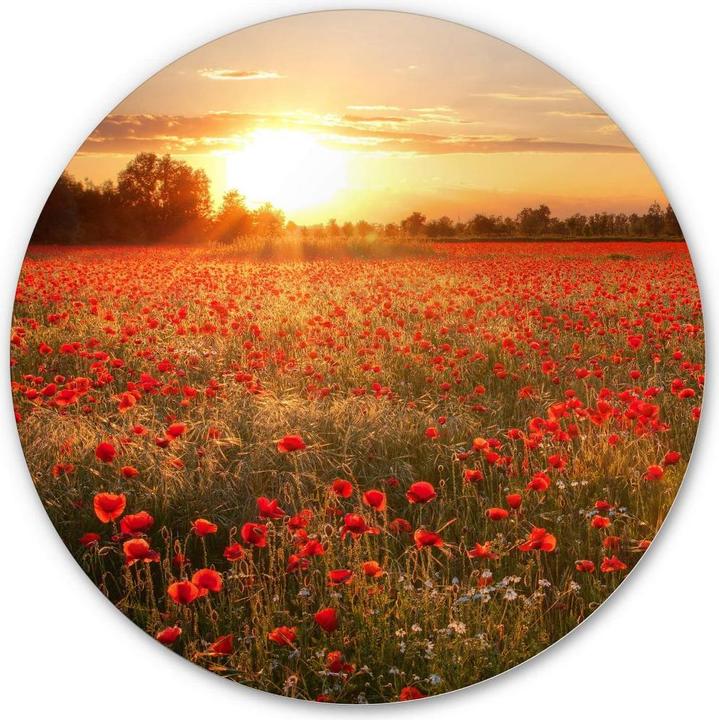 Produktbild Trenddeko Mohnfeld im Sonnenuntergang (Ø 45 cm)