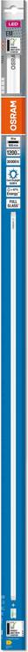 Productafbeelding Osram LEDTUBE T8 30 EM 900 10W 865 (G13, 10 W, 1200 lm, 1 x, E)