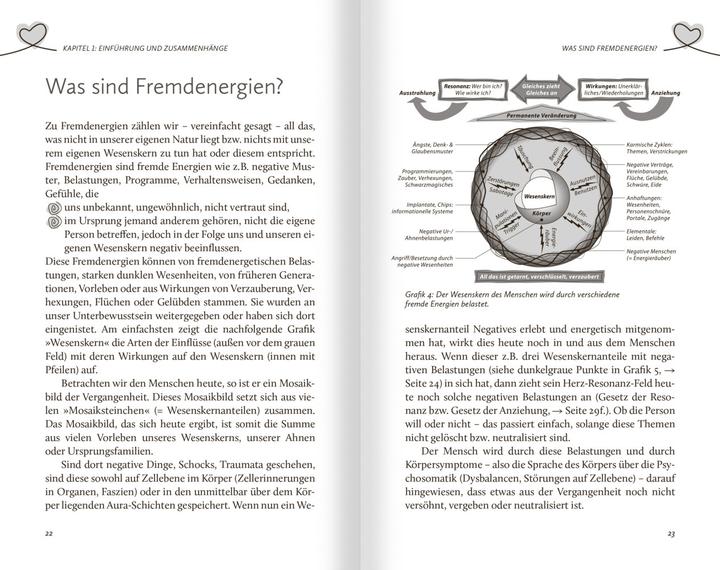 Produktbild Fremdenergien (Deutsch, Claus Walter, 2023)