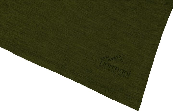 Actual product image Normani Men's merino T-shirt Darwin - 1585 (XXL)