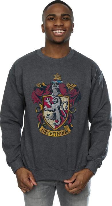 Immagine prodotto Felpa Gryffindor Uomo (M)