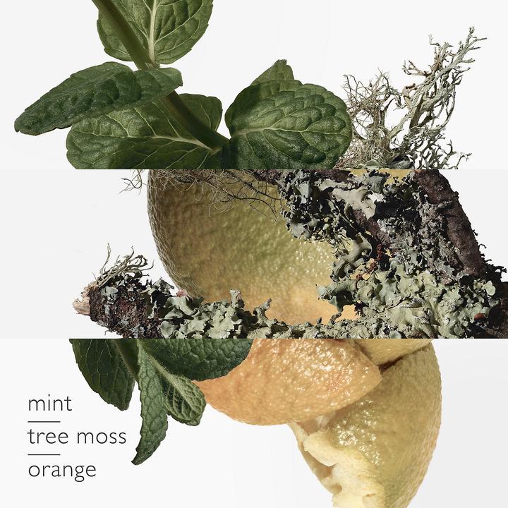 Image du produit Hermès Eau d'Orange Verte (Eau de toilette, 50 ml)