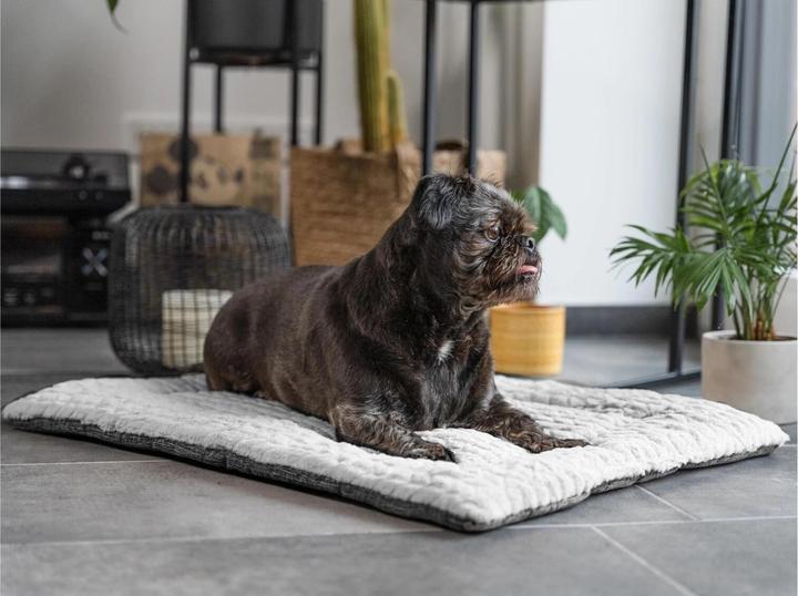 Actual product image Trend Pet Dog blanket Heaven, Grey, Size L (Dog)