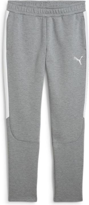 Image du produit Puma teamEVOSTRIPE Pants (L)