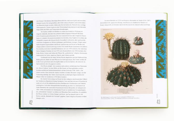 Immagine prodotto Ethnobotanik (Tedesco, Bettina Eschenhagen, Sarah Dr Edwards, 2024)
