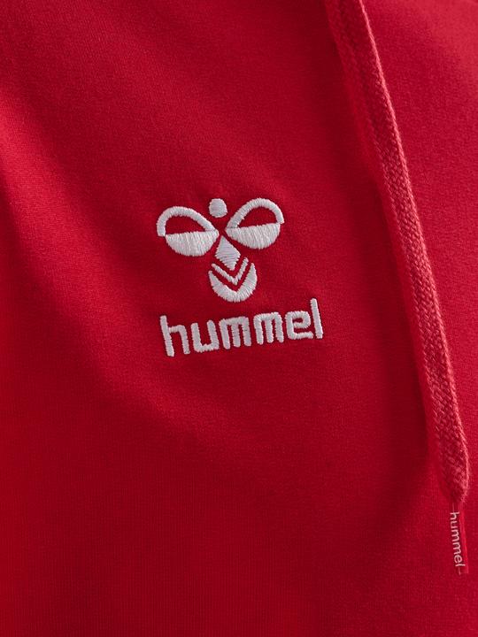 Actual product image hummel HMLGO 2.0 HOODIE (S)