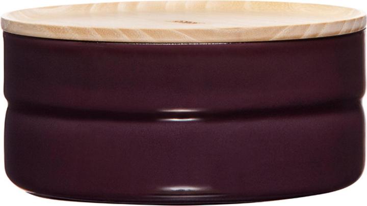 Riess 2173-201 (0.62 l)