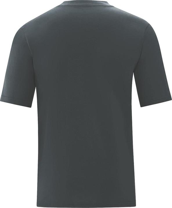 anthracite-lime